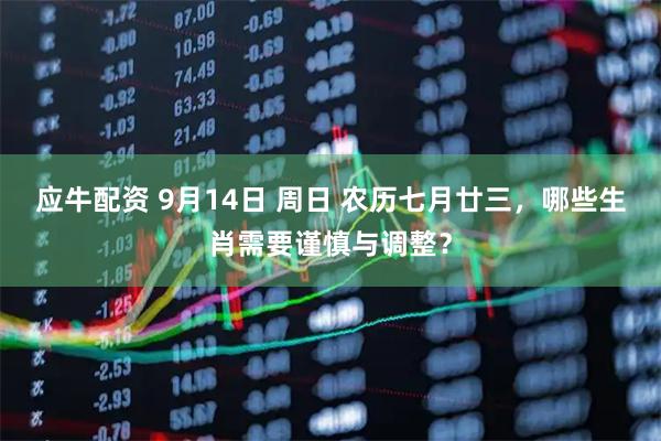 应牛配资 9月14日 周日 农历七月廿三，哪些生肖需要谨慎与调整？