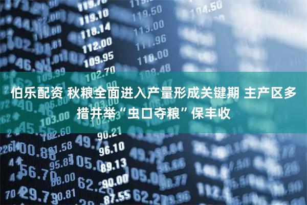 伯乐配资 秋粮全面进入产量形成关键期 主产区多措并举“虫口夺粮”保丰收