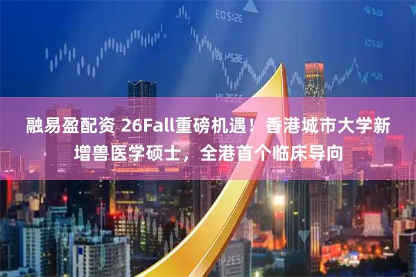 融易盈配资 26Fall重磅机遇！香港城市大学新增兽医学硕士，全港首个临床导向